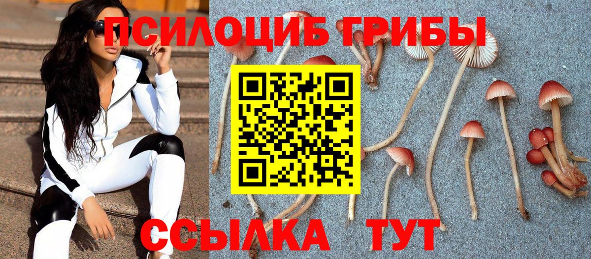 АМФЕТАМИН Сургут