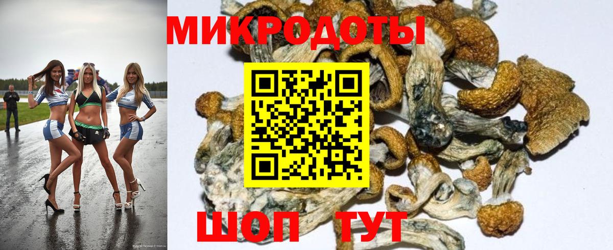 Псилоцибиновые грибы мухоморы  сколько стоит  Сургут  Вход с VPN 